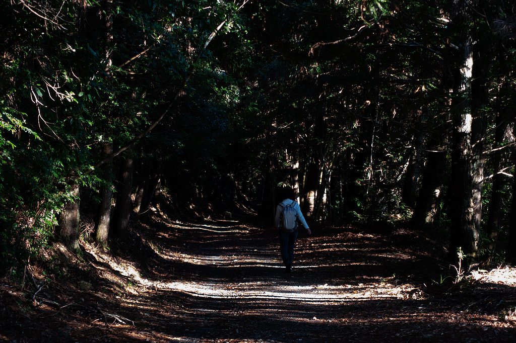 DSC04286.jpg DSC04286.jpg