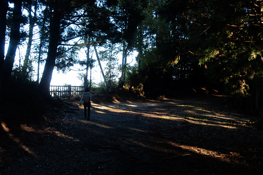 DSC04288.jpg DSC04288.jpg