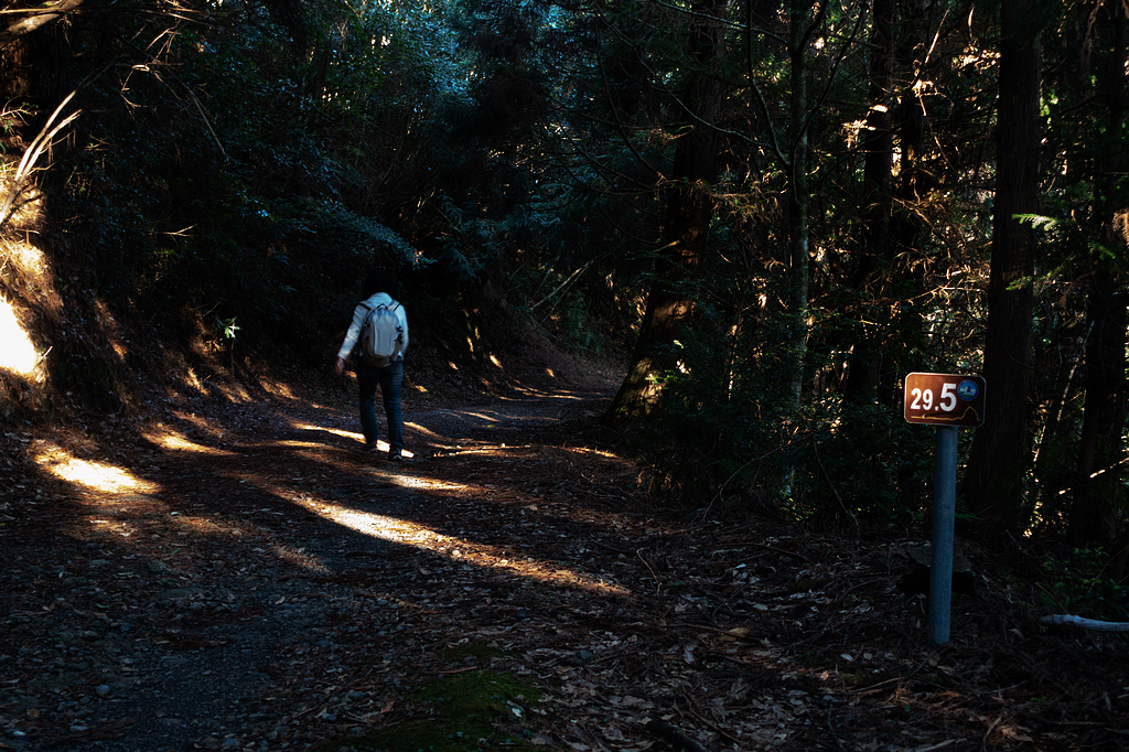 DSC04287.jpg DSC04287.jpg