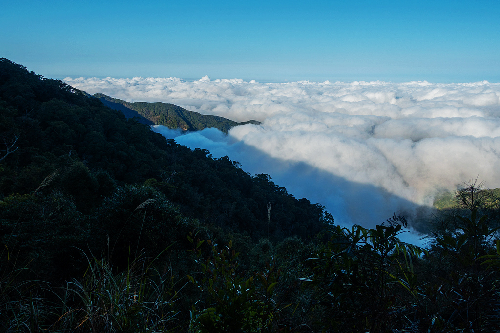 DSC04290.jpg DSC04290.jpg