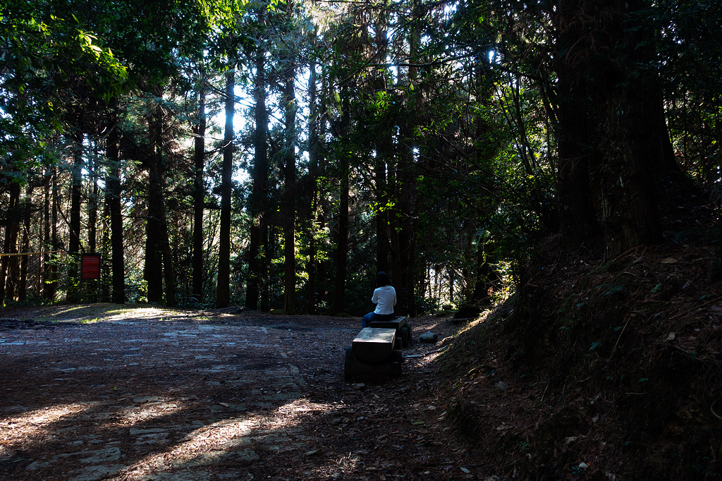 DSC04297.jpg DSC04297.jpg