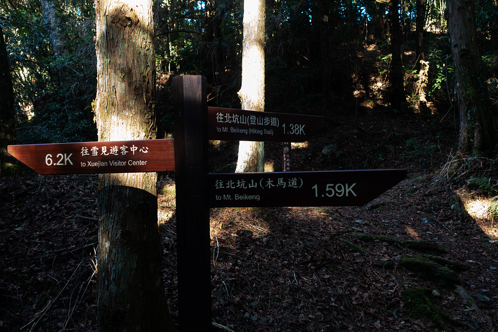 DSC04301.jpg DSC04301.jpg