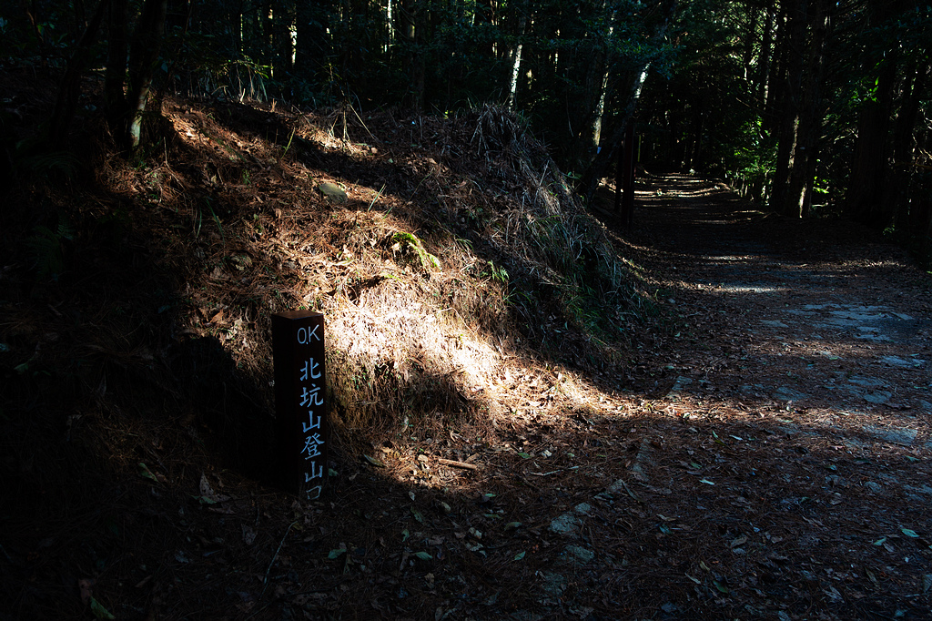 DSC04302.jpg DSC04302.jpg