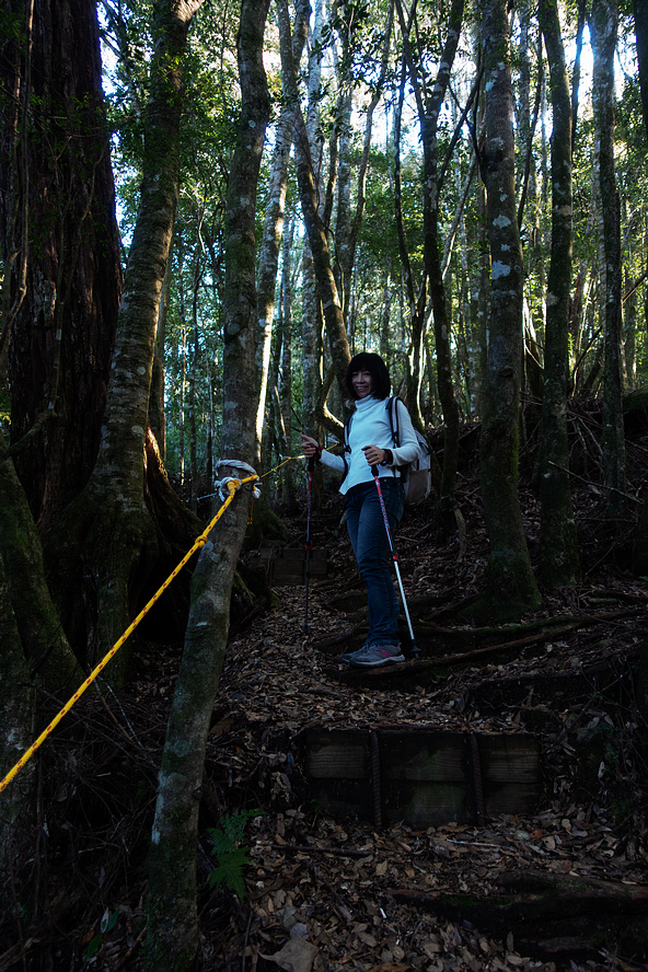 DSC04313.jpg DSC04313.jpg