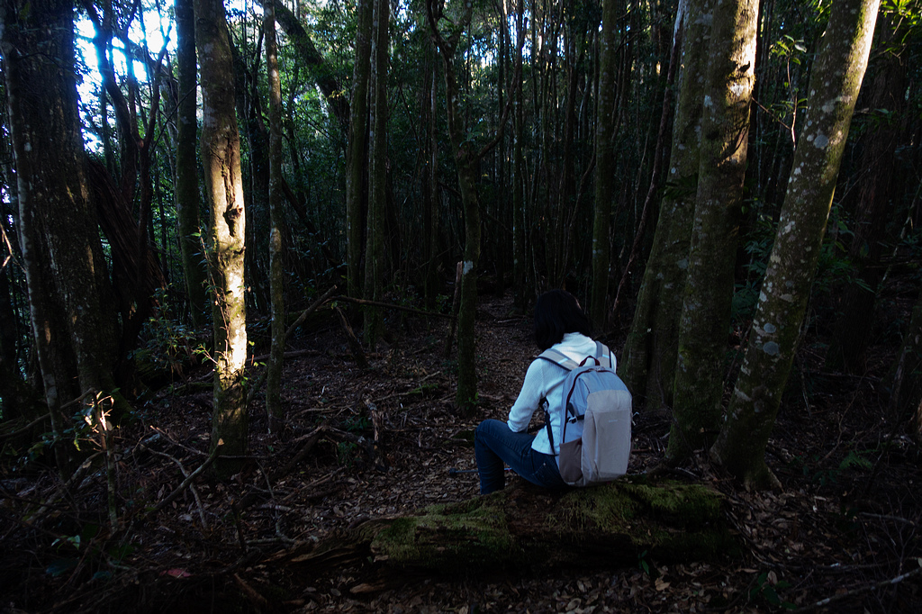 DSC04314.jpg DSC04314.jpg