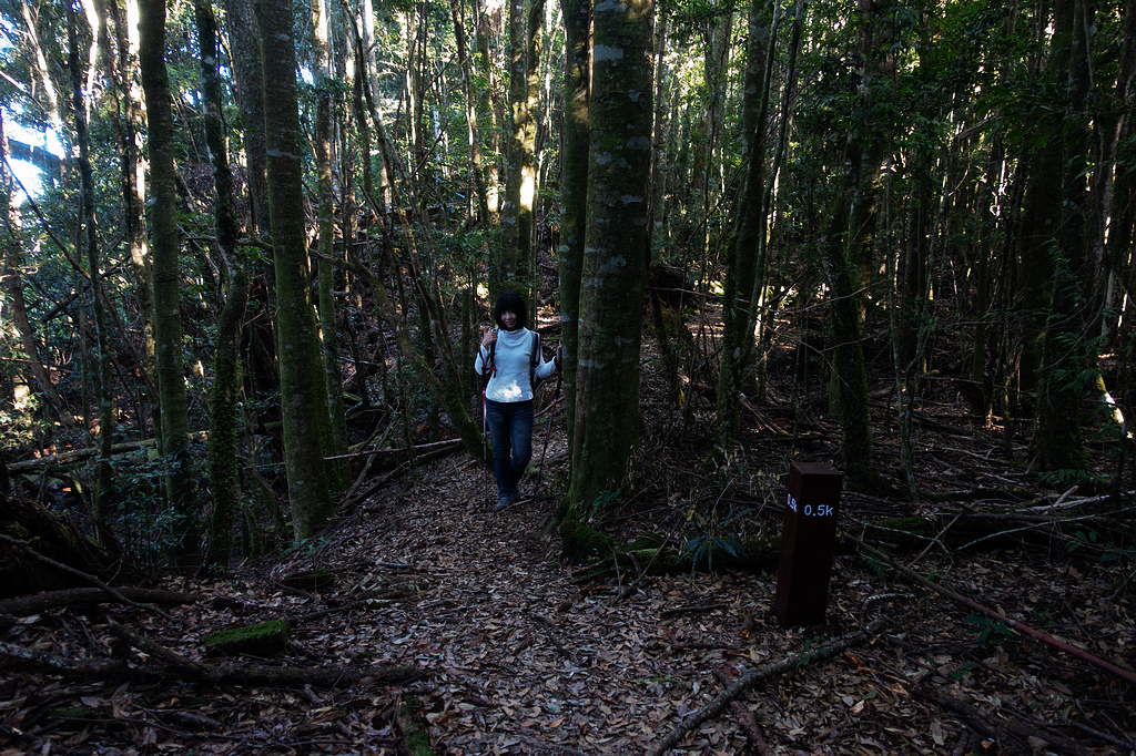 DSC04316.jpg DSC04316.jpg