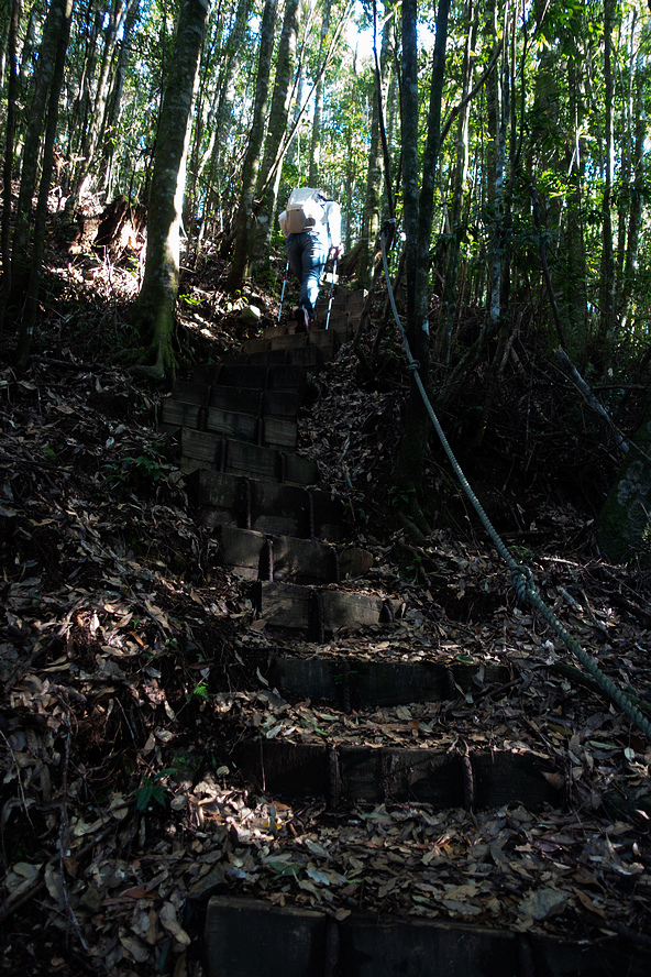 DSC04318.jpg DSC04318.jpg