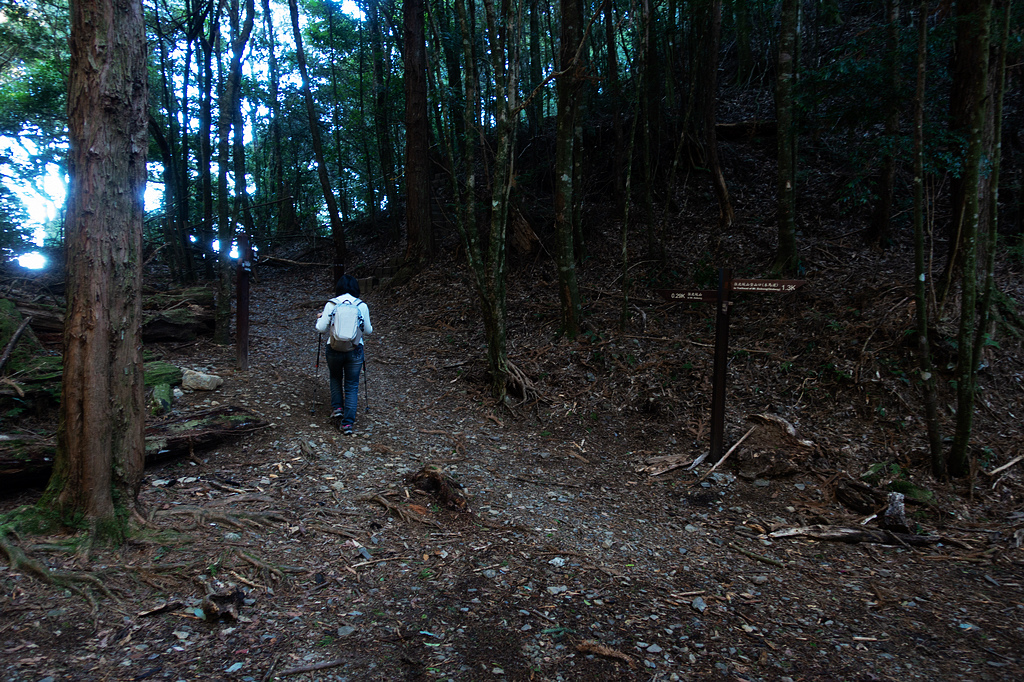 DSC04327.jpg DSC04327.jpg