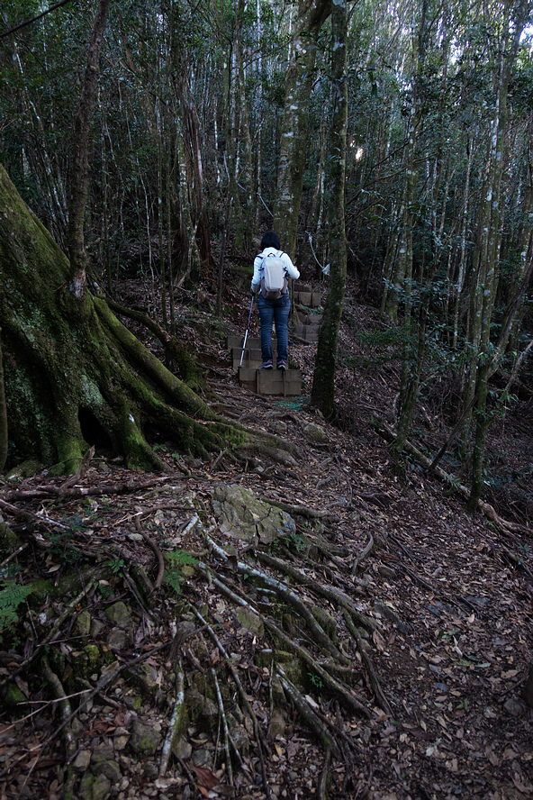 DSC04330.jpg DSC04330.jpg