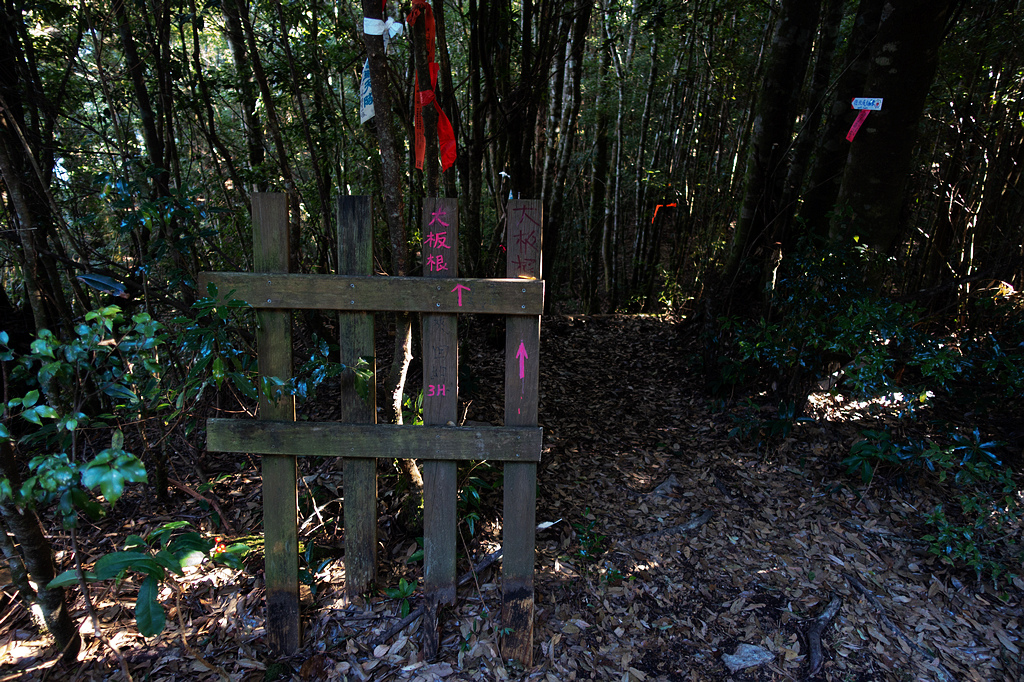 DSC04337.jpg DSC04337.jpg