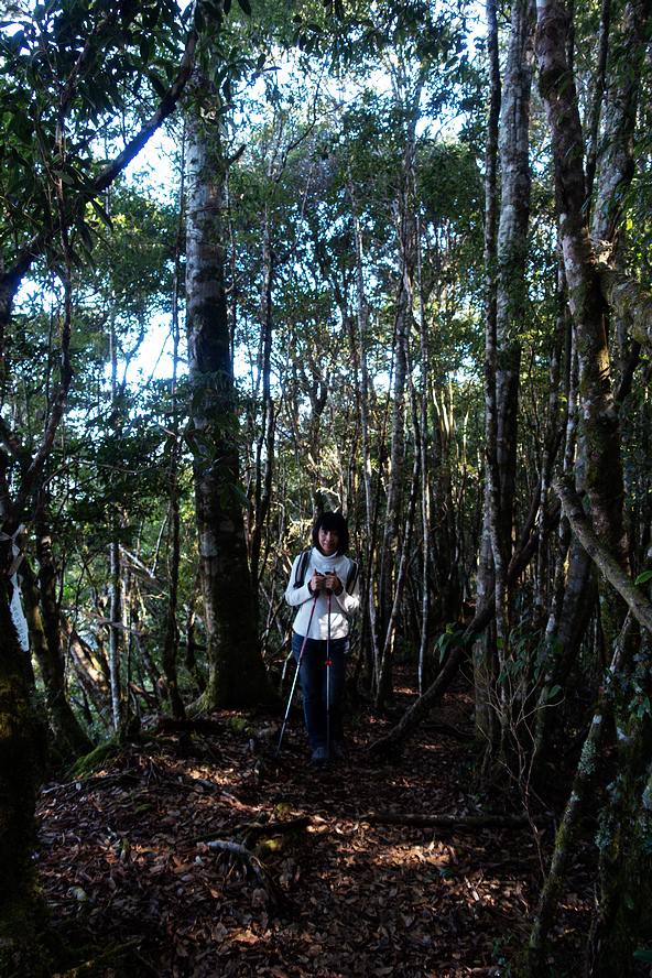 DSC04357.jpg DSC04357.jpg