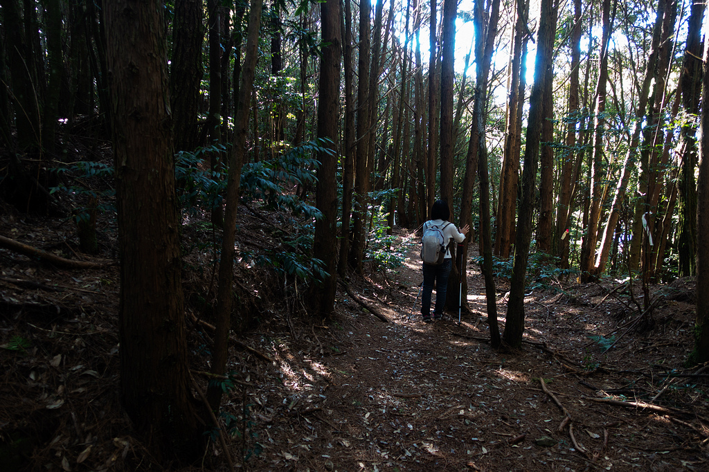 DSC04359.jpg DSC04359.jpg