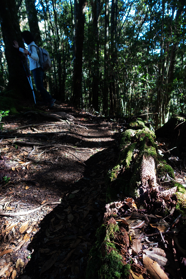 DSC04365.jpg DSC04365.jpg