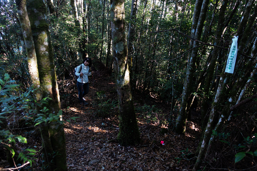 DSC04361.jpg DSC04361.jpg