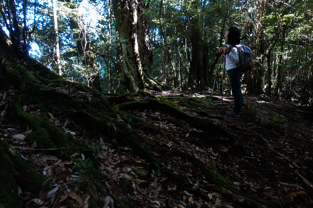 DSC04371.jpg DSC04371.jpg