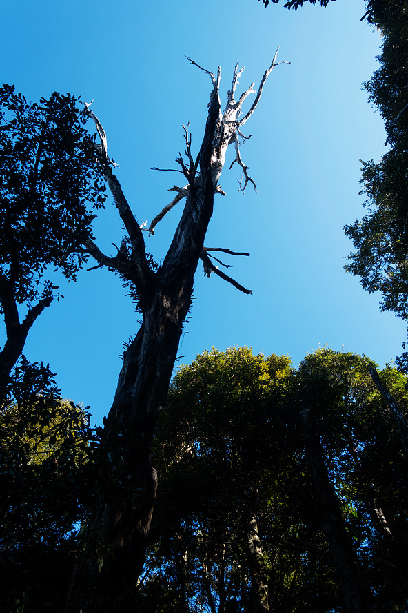 DSC04378.jpg DSC04378.jpg