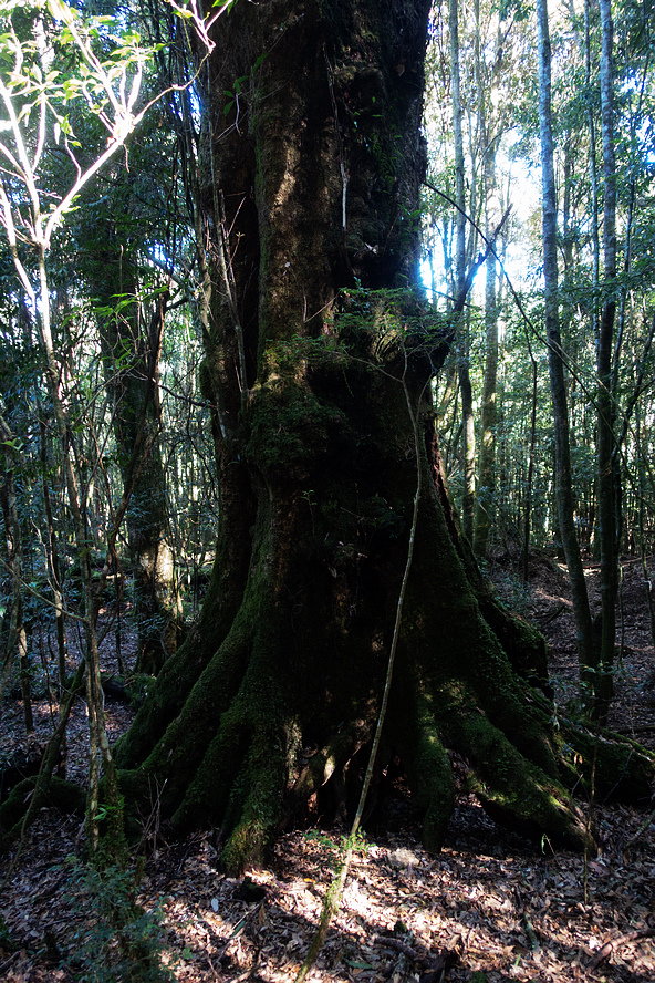 DSC04389.jpg DSC04389.jpg