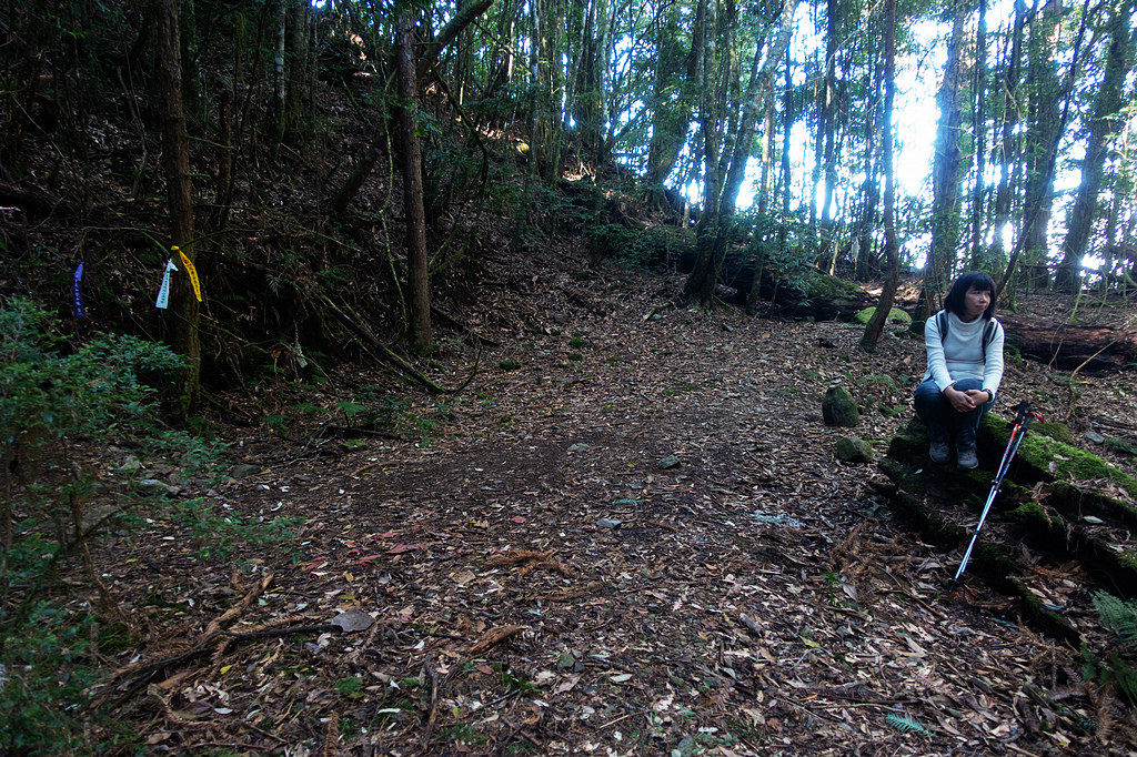 DSC04384.jpg DSC04384.jpg