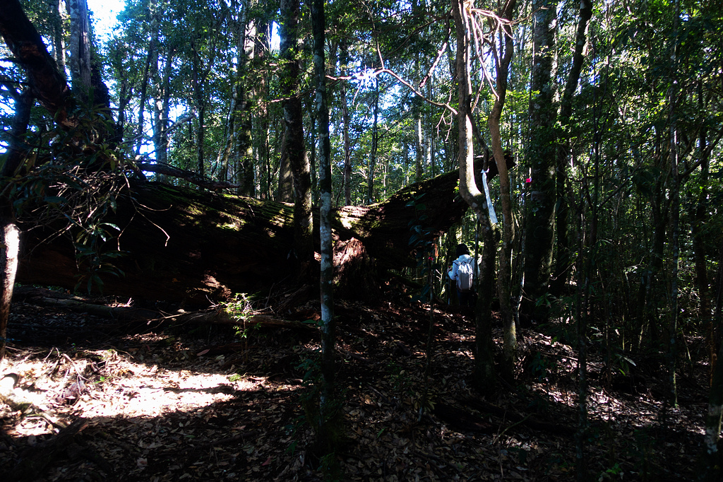 DSC04391.jpg DSC04391.jpg