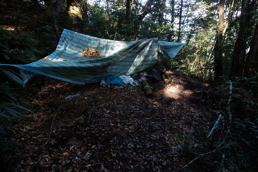 DSC04395.jpg DSC04395.jpg