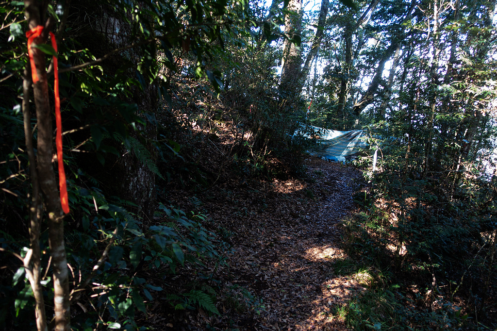 DSC04394.jpg DSC04394.jpg