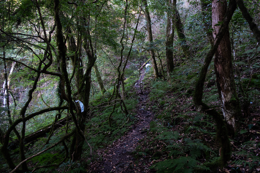 DSC04396.jpg DSC04396.jpg