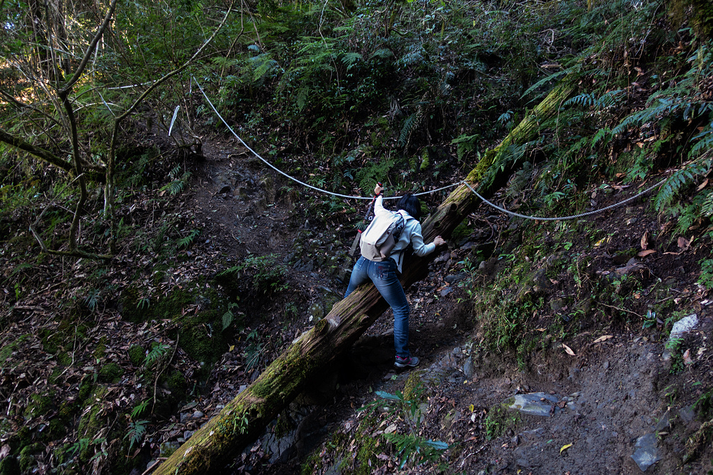 DSC04397.jpg DSC04397.jpg