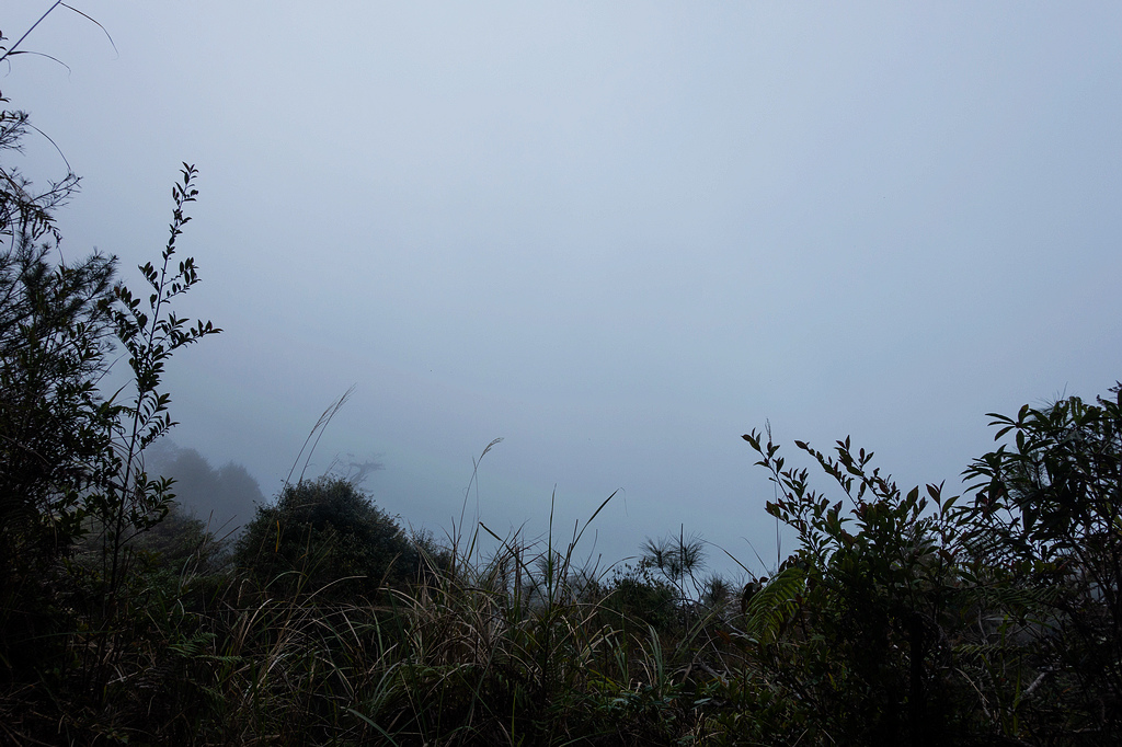 DSC04539.jpg DSC04539.jpg