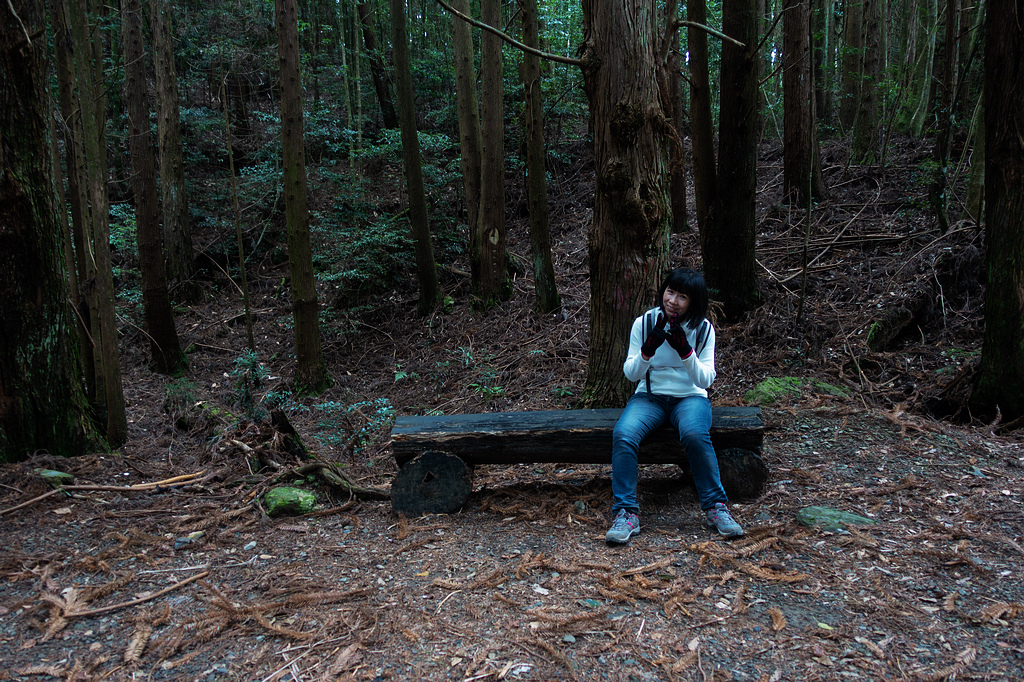 DSC04540.jpg DSC04540.jpg