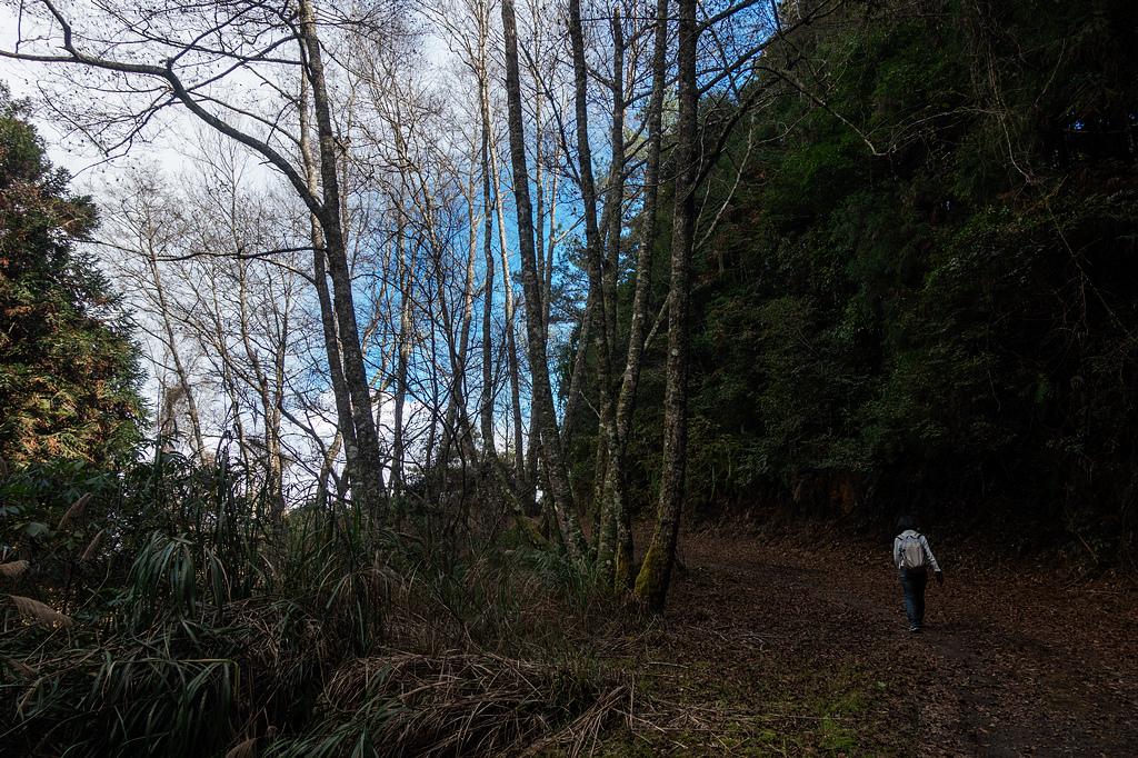 DSC04542.jpg DSC04542.jpg