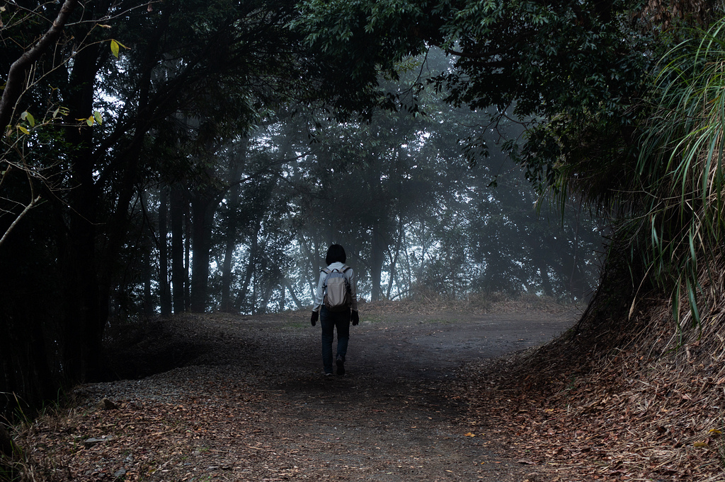 DSC04547.jpg DSC04547.jpg