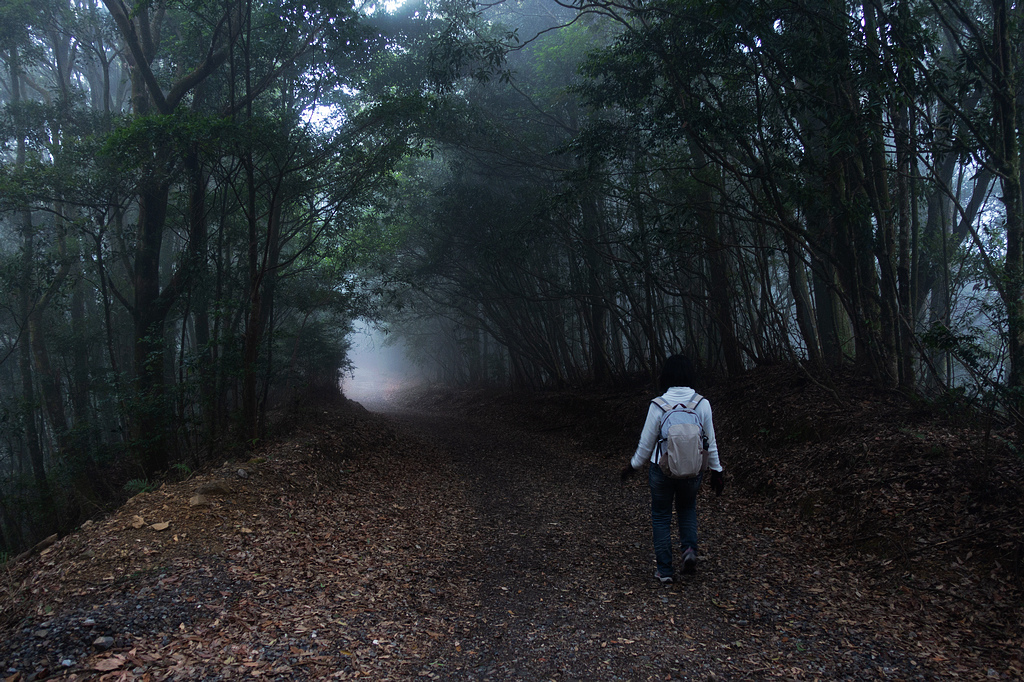 DSC04550.jpg DSC04550.jpg