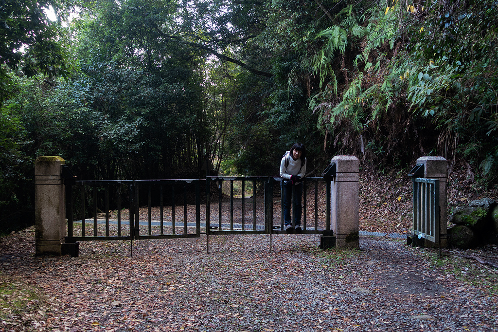 DSC04553.jpg DSC04553.jpg