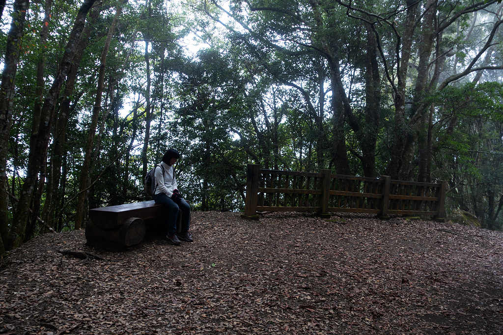 DSC04549.jpg DSC04549.jpg