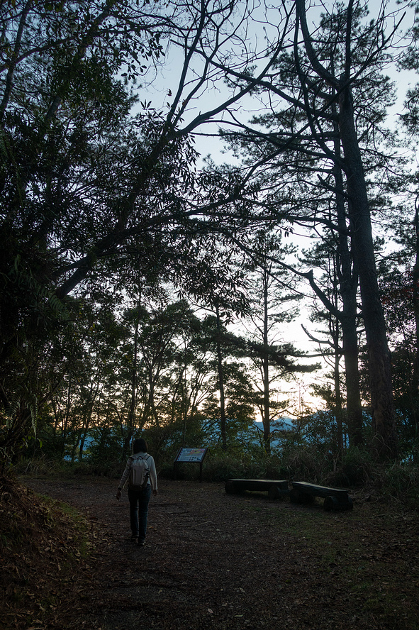 DSC04227.jpg DSC04227.jpg