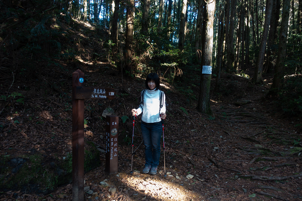 DSC04305-編輯.jpg DSC04305-編輯.jpg