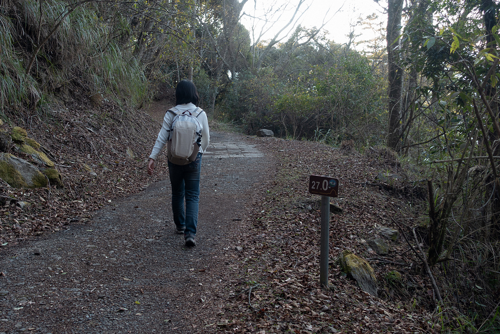 DSC04254-2.jpg DSC04254-2.jpg