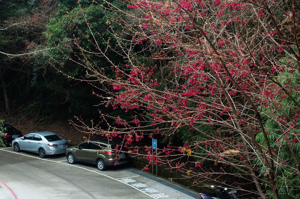 DSC04558-mask.jpg DSC04558-mask.jpg