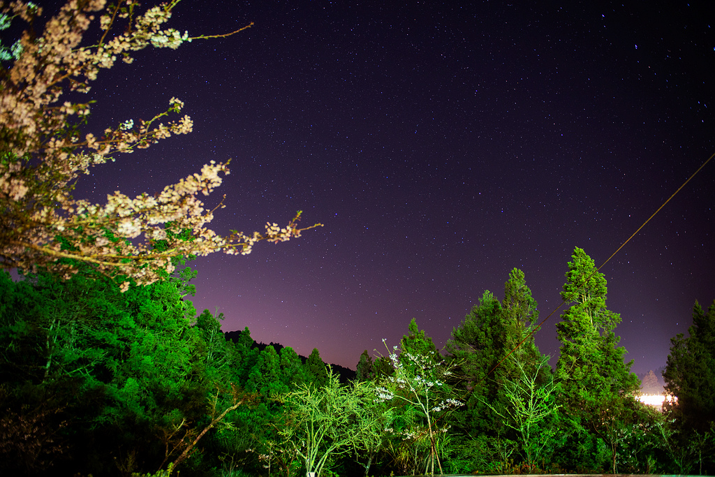 _DSC6675.jpg _DSC6675.jpg