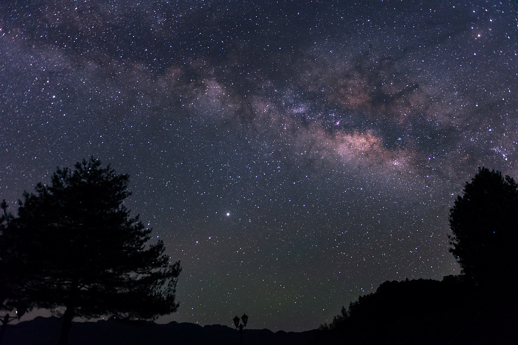 _DSC6800.jpg _DSC6800.jpg