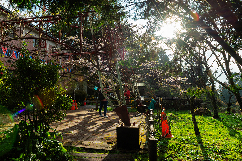 _DSC6654.jpg _DSC6654.jpg