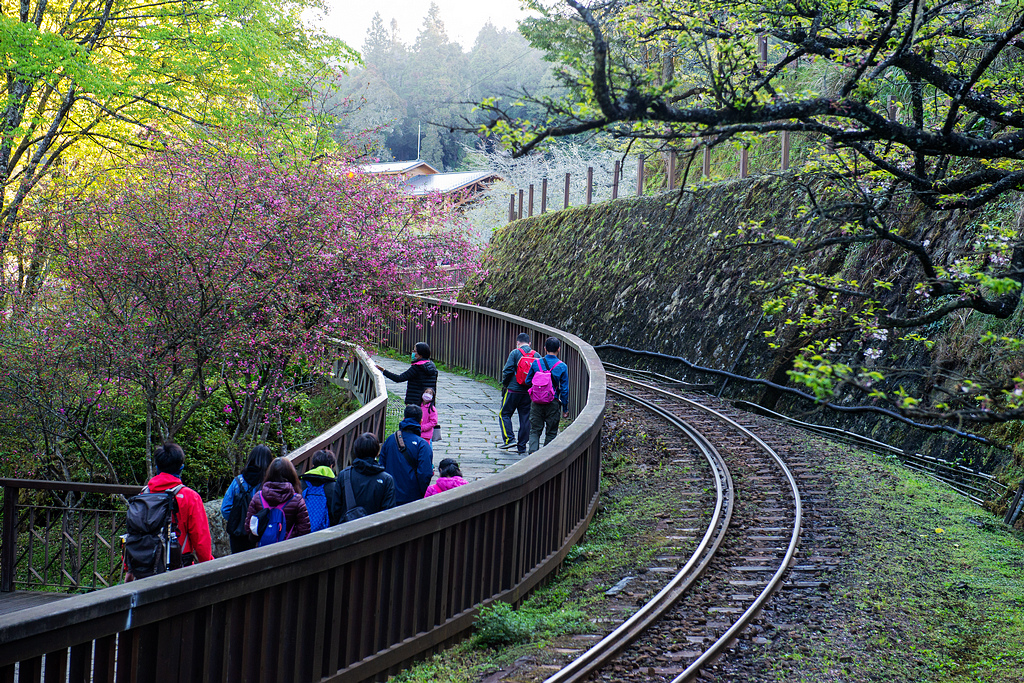 _DSC6926.jpg _DSC6926.jpg