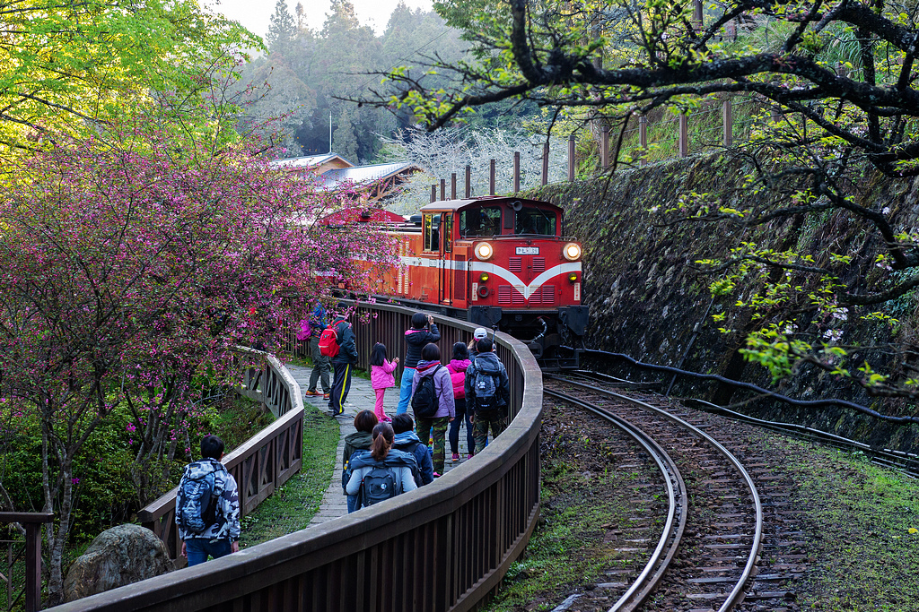 _DSC6928.jpg _DSC6928.jpg