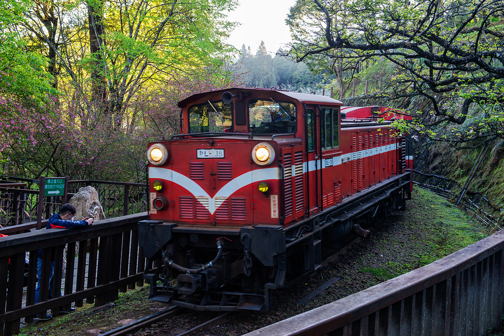 _DSC6936.jpg _DSC6936.jpg