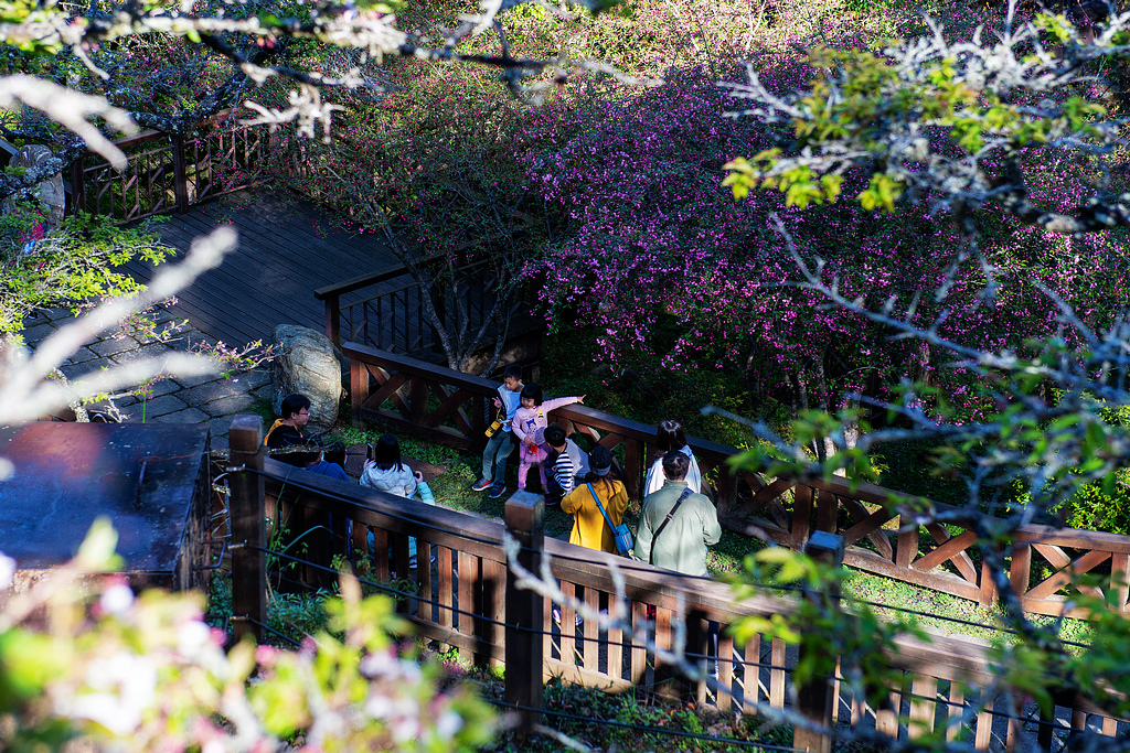 _DSC6950.jpg _DSC6950.jpg