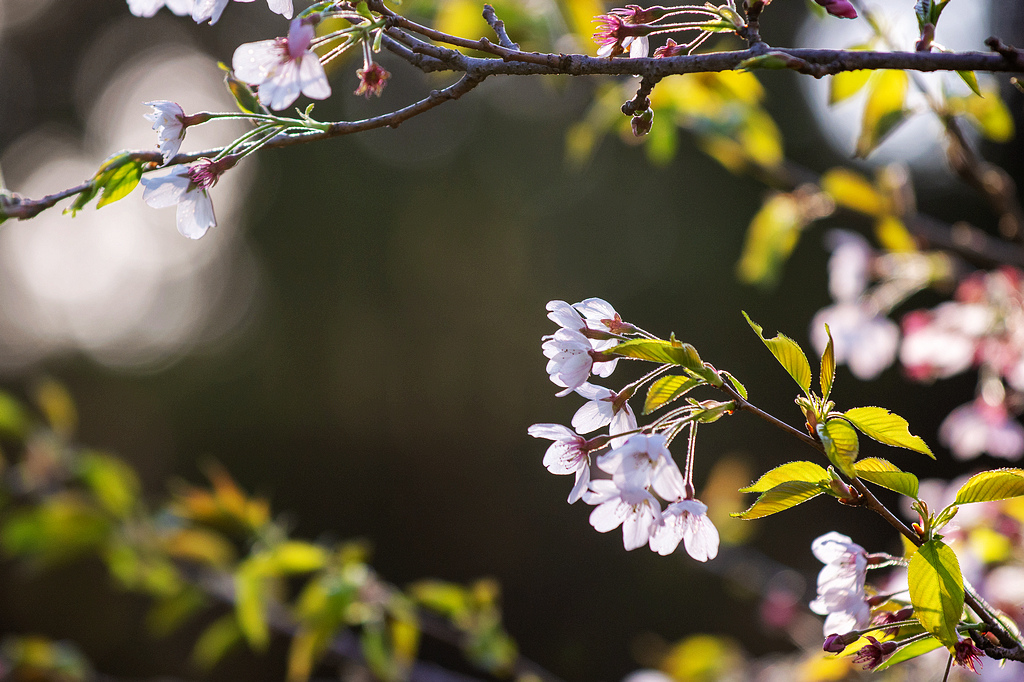 DSC_5880.jpg DSC_5880.jpg