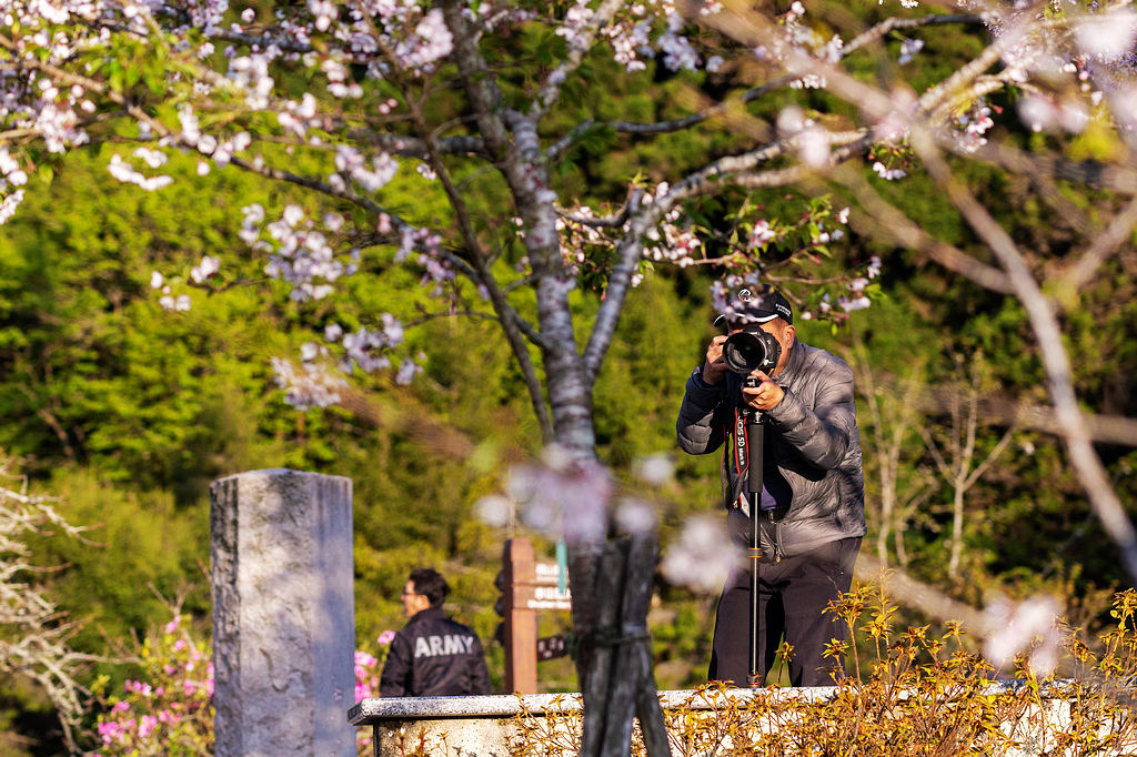 DSC_5882.jpg DSC_5882.jpg