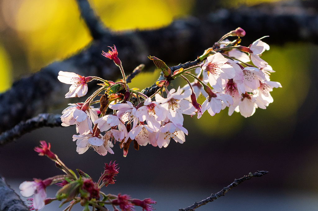 DSC_5904.jpg DSC_5904.jpg