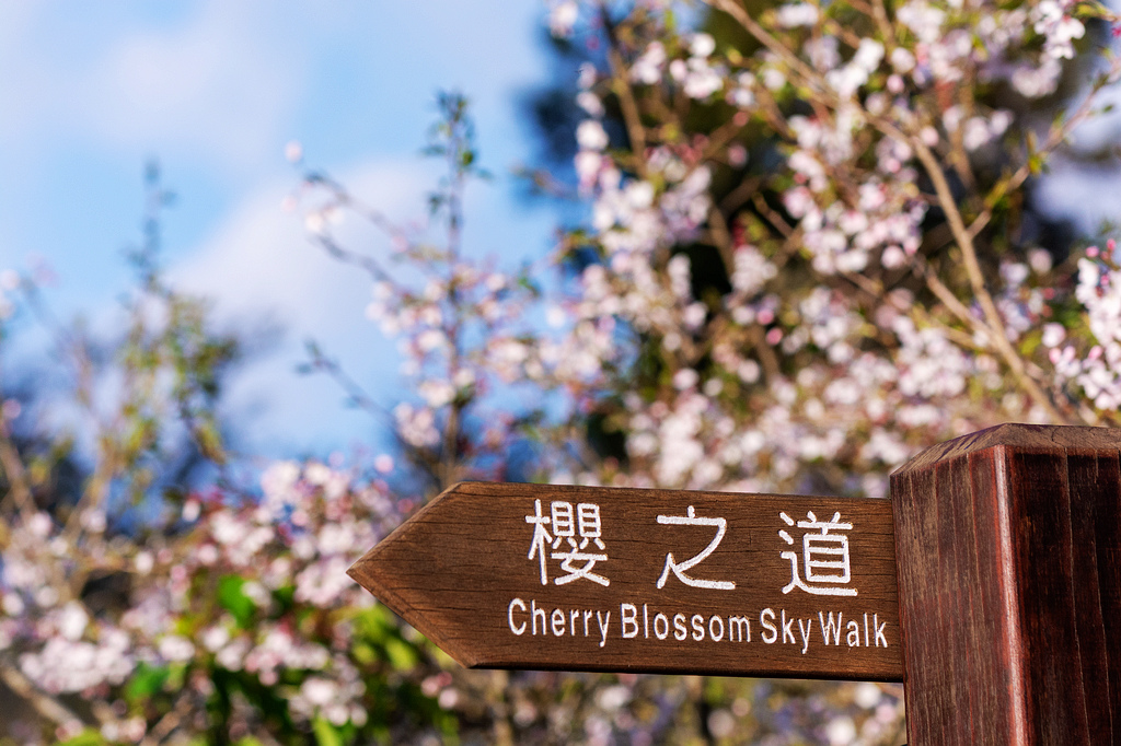 DSC_5883.jpg DSC_5883.jpg