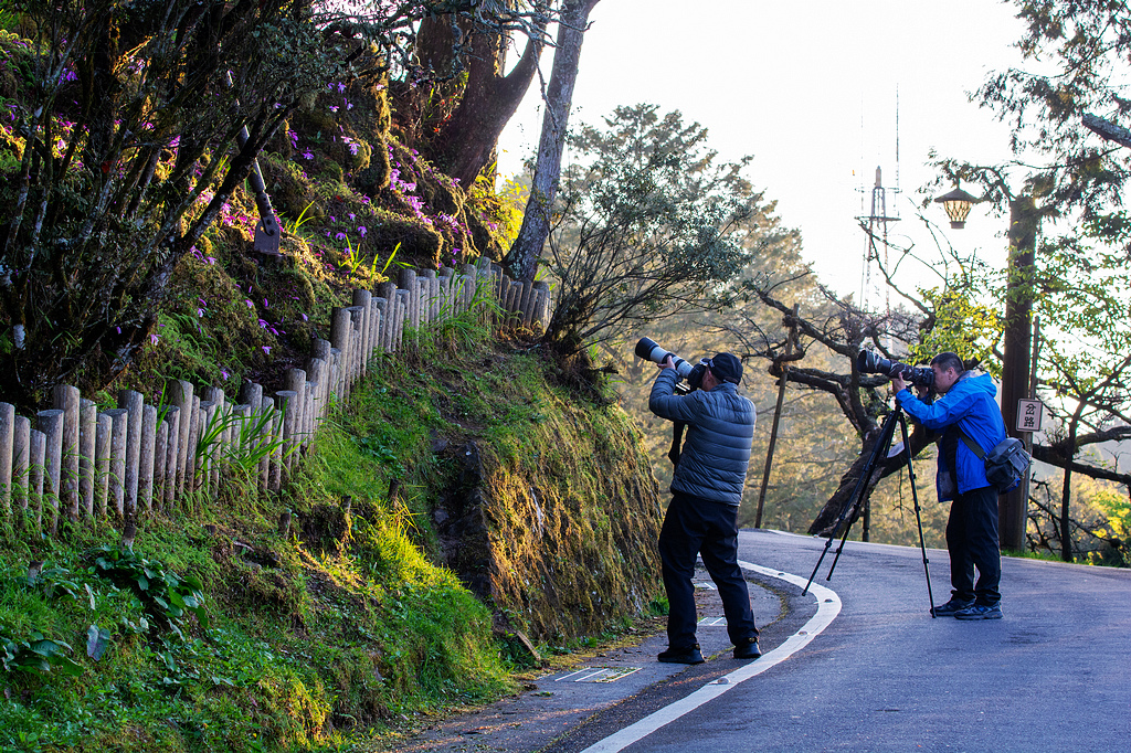 DSC_5917.jpg DSC_5917.jpg